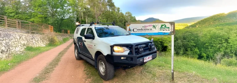 Condition Data for Remote Roads at Scale