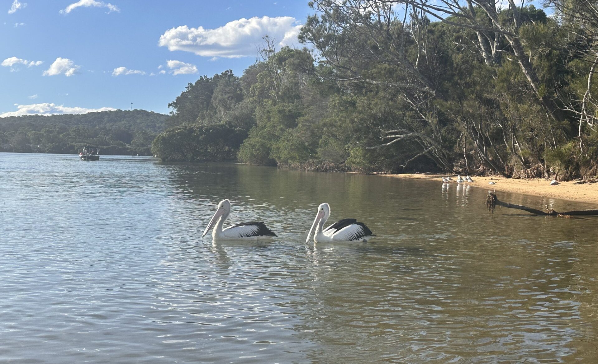 Eurobodalla